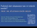 Prof. Dr. Süleyman Engin Akhan Prof. Dr. Süleyman Engin Akhan