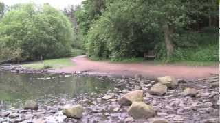preview picture of video 'A Walk Around Golden Acre Park, Bramhope, Leeds, West Yorkshire, UK - 13th June, 2012 (720 HD)'