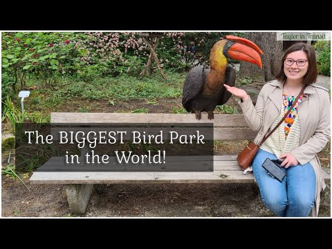 Travel Germany - The BIGGEST Bird Park in the World!