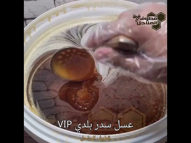 عسل سدر طبيعي بلدي VIP