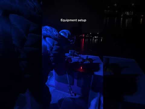 Thumbnail for Welcome Anthem of the Seas into Sydney