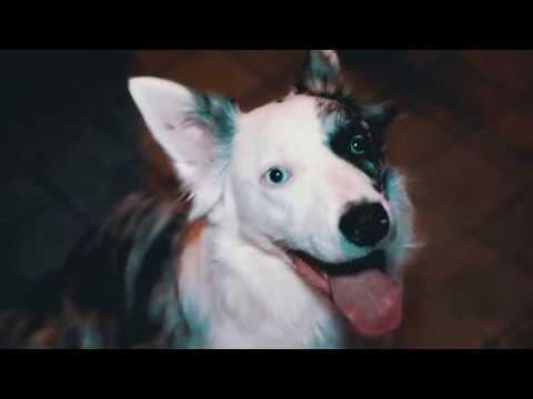 MINUS - ENTRE LA ESPADA Y EL GRAFFITI [VIDEOCLIP]