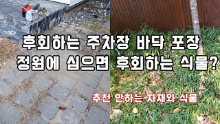번지고 나면 제거가 힘든 식물? 관리가 힘든 바닥 포장?