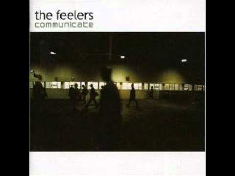 The Feelers-Forest