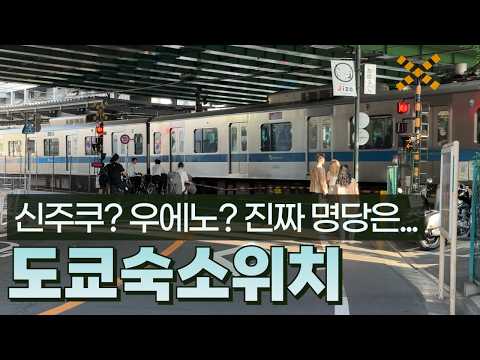 도쿄 숙소 선택 가이드: 인기 지역의 숨겨진 비밀과 여행 일정 맞춤 팁