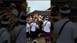 Download lagu banaspati raja #bali #banaspati #upacara mp3