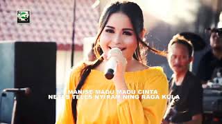 Download lagu TANGGUL KALI BANGKIR - DIAN ANIC mp3