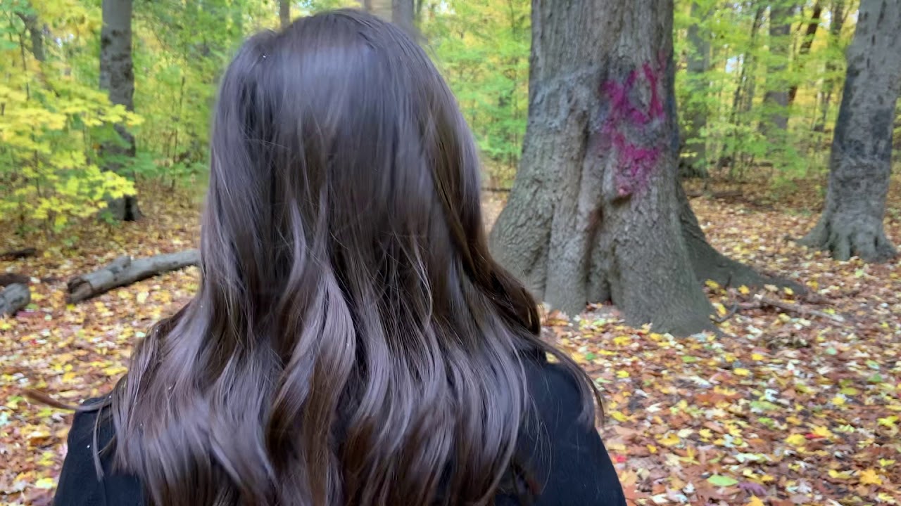 elephant. - A Short Film by Brandon Urikh