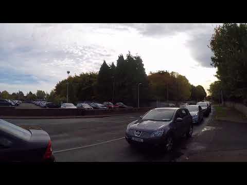 Female drive on phone 09D1806