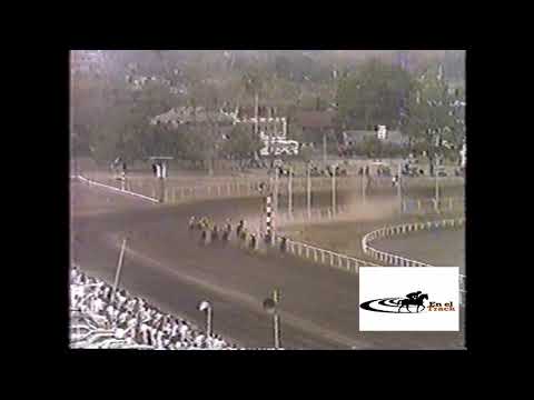 Clásico Velocidad 1985 Stonewall  valida