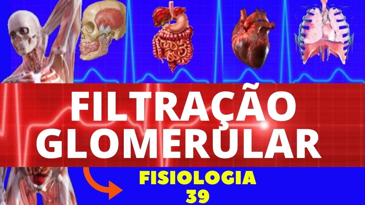 FILTRAÇÃO GLOMERULAR, REABSORÇÃO E SECREÇÃO (FISIOLOGIA HUMANA) - FISIOLOGIA RENAL - GUYTON