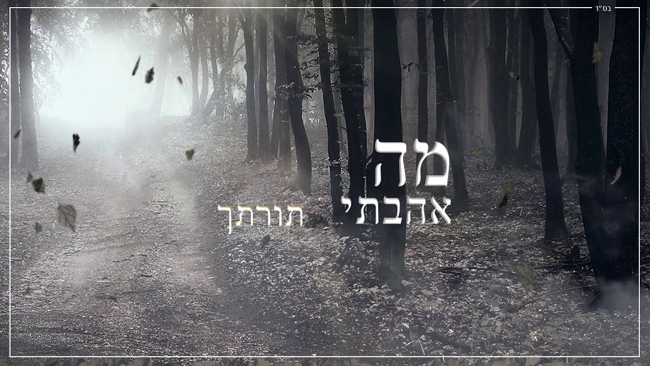 דוד חפצדי - מה אהבתי thumbnail