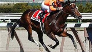 Lost in the Fog: &quot;Running Free Forever&quot;