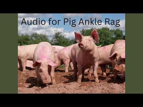 PacJAM video for Pig Ankle Rag
