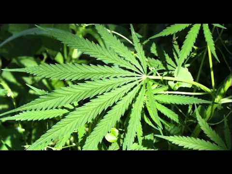Emotional Rap Song about Weed 