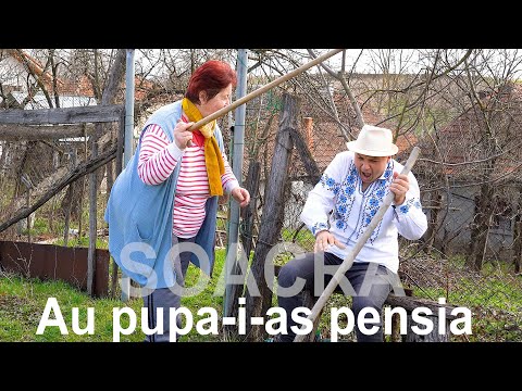 Dj Sebi ETNO - Am o soacra de cosmar