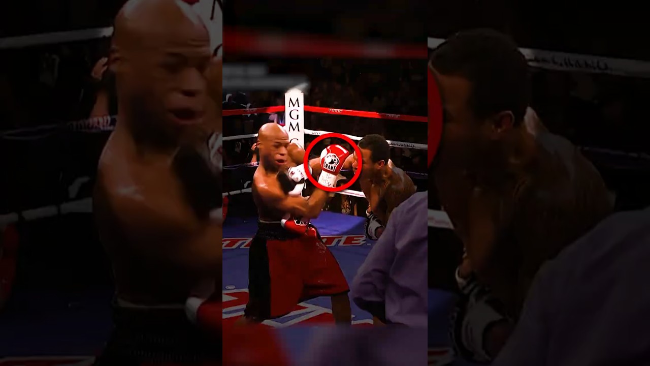 ダウン寸前で見せたメイウェザーの対応