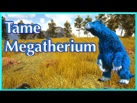 How to tame  a Megatherium Ark