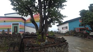 진우가 엄마 아빠와 함께 제주도의 게스트 하우스를 대중교통을 이용해 다녀옵니다.내용