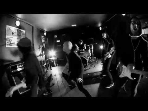 WE LEFT THEM FOR DEAD - Dogs