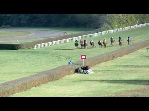 2017.10.29. 5. futam - AMIGO STAR HENDIKEP (IV.o.) (szintetikus pálya)