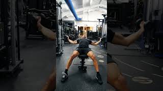 Chest Fly Incline Dumbbells