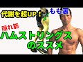 痩せやすい？代謝が超UP！隠れ筋【ハムストリングス(もも裏)】のススメ　体脂肪を密かに燃やす！？その筋トレの感上げ方と種類　体脂肪を減らすぞ！