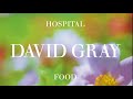 David Gray - Hospital Food - Live at the Church Studios 07/26/05 (Official Audio)