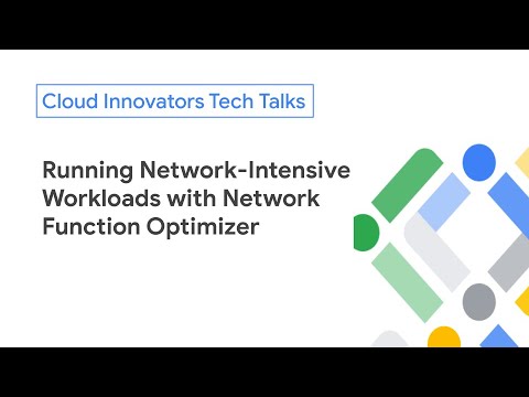 Running Network-Intensive Workloads with Network Function Optimizer