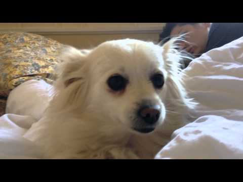 7x7 - Week of Feb 23rd, 2014