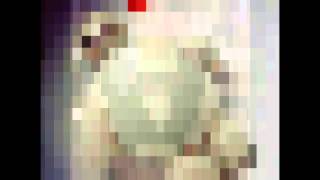 雨弟(Cover)-最初的夢想