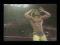 Ravishing Rick Rude