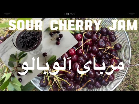 Homemade Sour Cherry Jam with Fresh Garden Cherries 🍒 مربای آلوبالوی خانگی با آلوبالوی تازه