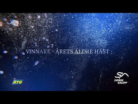 Årets Äldre Häst 2021