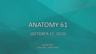Anatomy 61 (October 12, 2020)