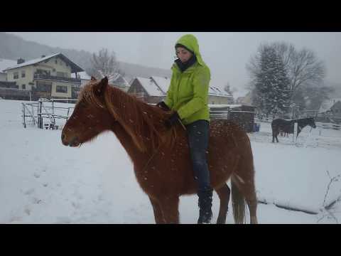 Bowtie- Pattern zur Vorbereitung auf den Galoppwechsel