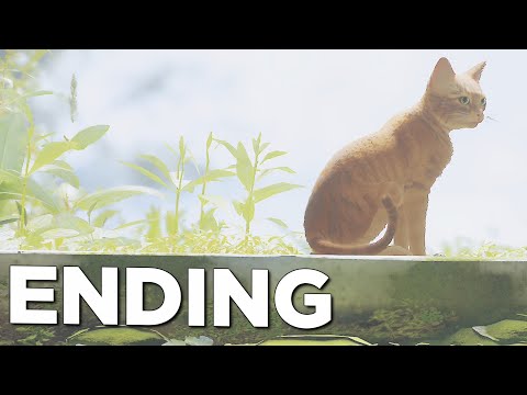 STRAY ENDING / FINAL CHAPTER - PS5 Walkthrough Gameplay Part 11 (FULL GAME)