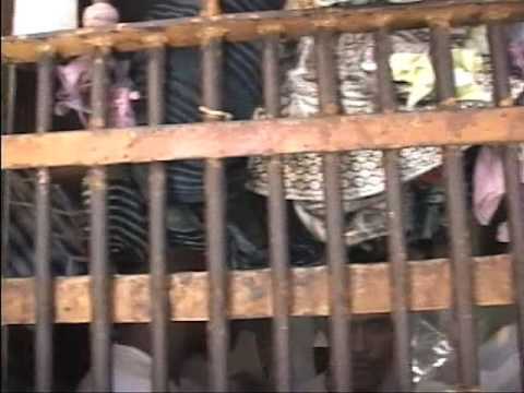 ADUD PRESTA ASSISTÊNCIA ODONTOLÓGICA NOS PRESÍDIOS