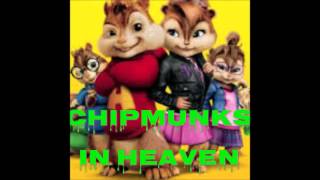 Vybz Kartel - In Heaven - Chipmunks &amp; Ratzmunk Version - October 2016