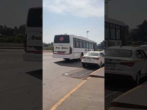 Empresa San Pedro de Colalao coche 25, lo Repintaron completamente blanco, Tucumán
