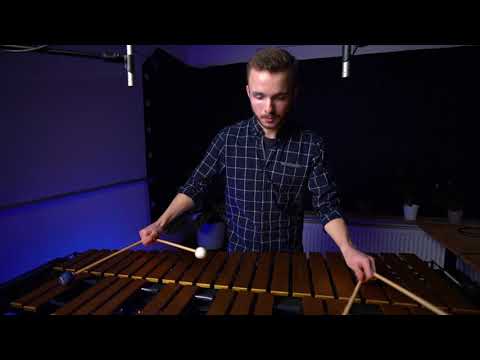 N. J. Živković - Suomineito | played by Johannes Claassen