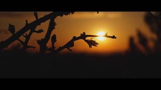 Breezy (HDz)- Kamar (Clip Officiel)