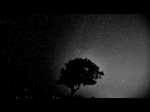 Trashlagoon - Fairy Lights (Original Mix)