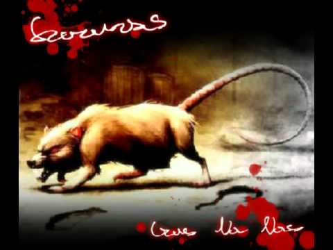 04.Szczuras- Domowe Ognisko (gość. Shewa)