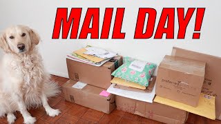 Unboxing Fanmail From Subscribers! February 2021 Edition!