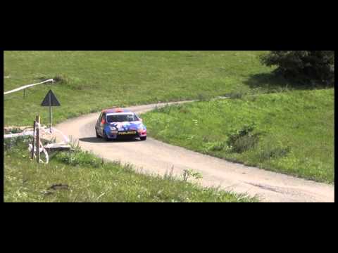 PS 6 -  Rally Alpi Orientali 2014   Battilani-Cerlini Renault Twingo R2B Publirace