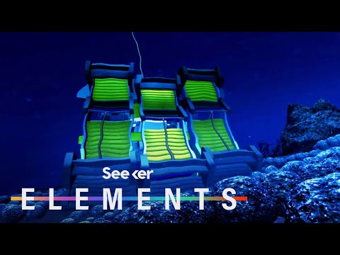 關於深海採礦的令人不安的真相。 (The Uncomfortable Truth About Deep Sea Mining)