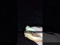 Cheeseburgers and demons 🤣 #memes #reels #funny #humor #comedy #cheeseburger #burger #demon