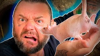 Miniatura do vídeo