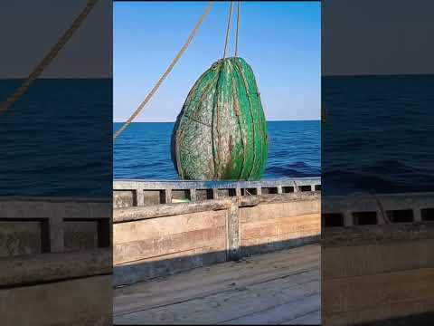 Amazing Gill Net Fishing Line Catch Hundreds Tons of Fish-Amazing Big Catching on The Ocean